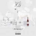 JAMIEshow - Muses - Moments of Joy - Luggage & Pet Set - Aurora